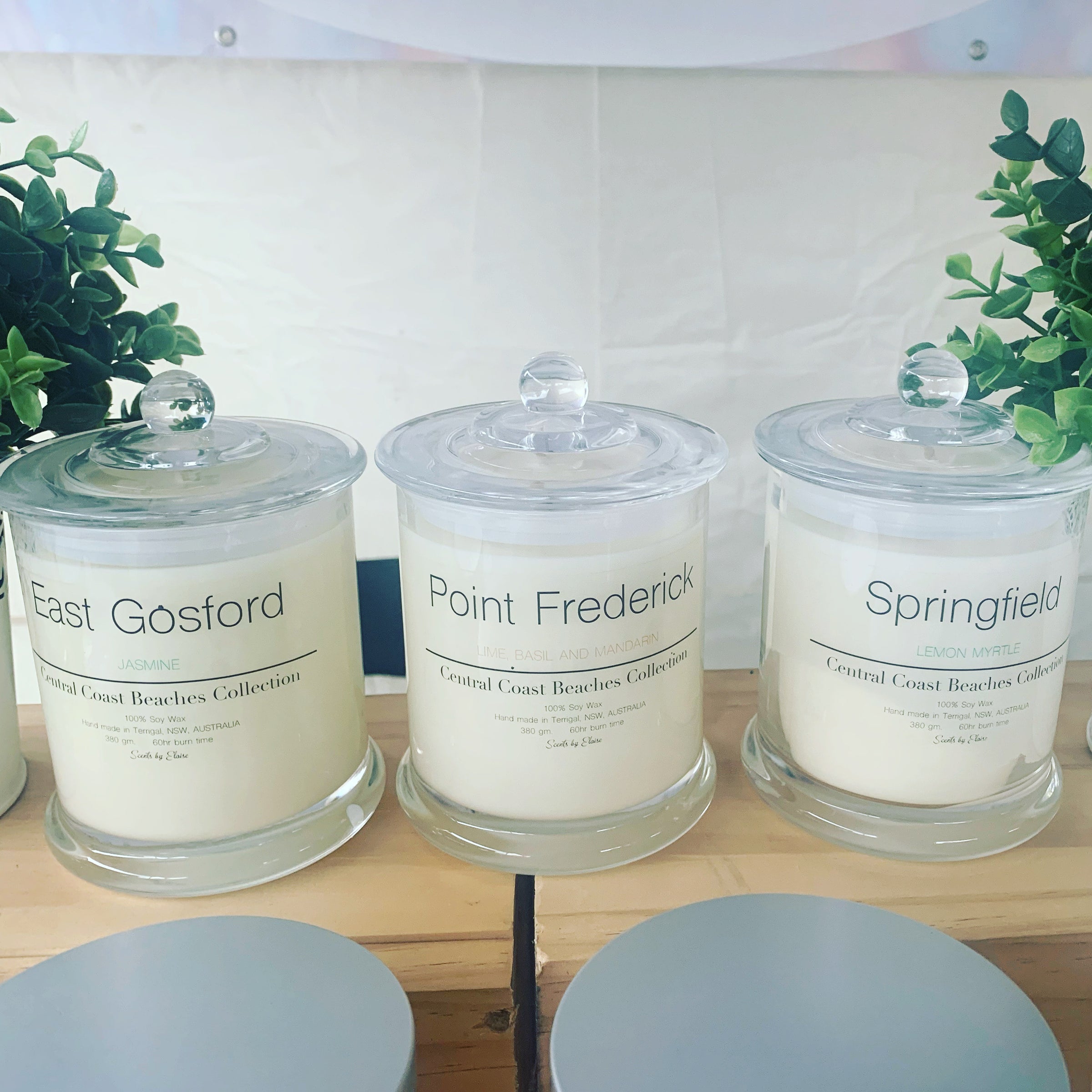 ●CENTRAL COAST COLLECTION Central Coast Collection - Large | Scents by Eloise